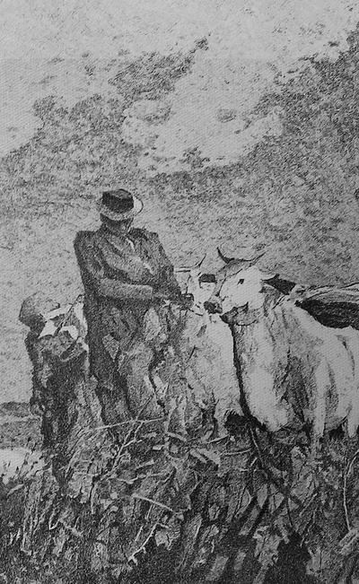 Contadino con i buoi, disegno a china di Fernando Zannoli