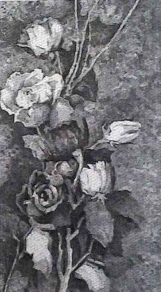 Rose, disegno a china di Fernando Zannoli