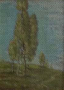 Pioppi nel prato, dipinto a olio di Fernando Zannoli